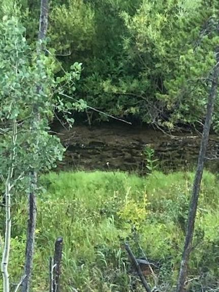 Oceanfront Property in Grand County, Colorado