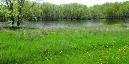 Riverfront Property in Chickasaw County, Iowa