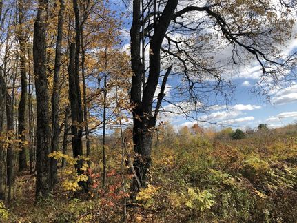 Commercial Property in Lewis County, New York