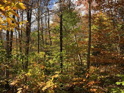 Commercial Property in Lewis County, New York