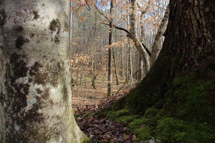 Land in Heard County, Georgia