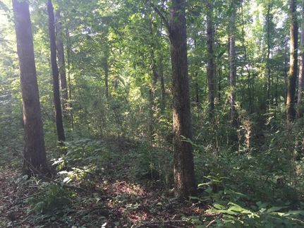 Timberland Property in Yazoo County, Mississippi