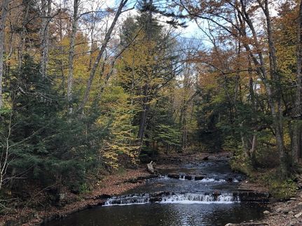 Commercial Property in Lewis County, New York