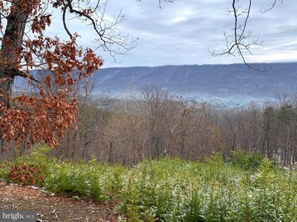 Timberland Property in Hampshire County, West Virginia