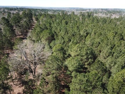 Farm and Ranch in Rusk County, Texas