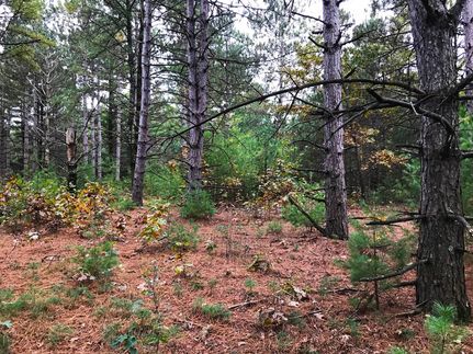 Timberland Property in Waushara County, Wisconsin