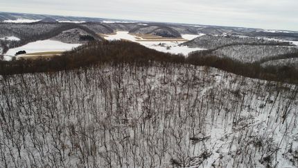 Undeveloped Land in Buffalo County, Wisconsin