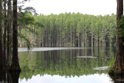 Land in Madison County, Florida