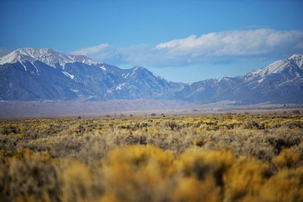Undeveloped Land in Alamosa County, Colorado