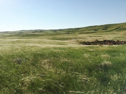 Land in Cherry County, Nebraska
