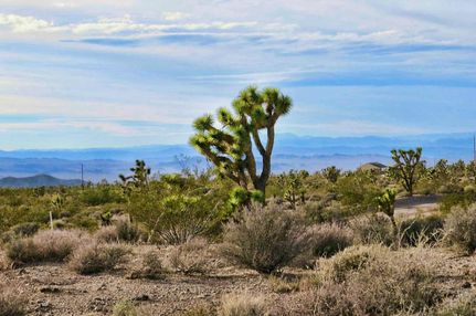 Recreational Property in Mohave County, Arizona