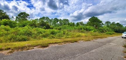 Undeveloped Land in Sarasota County, Florida