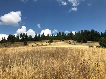 Farm and Ranch in Kootenai County, Idaho