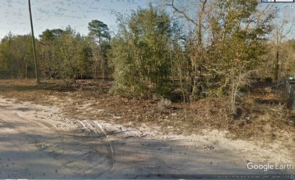 Farm and Ranch in Putnam County, Florida