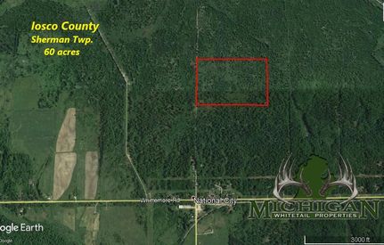 Undeveloped Land in Iosco County, Michigan