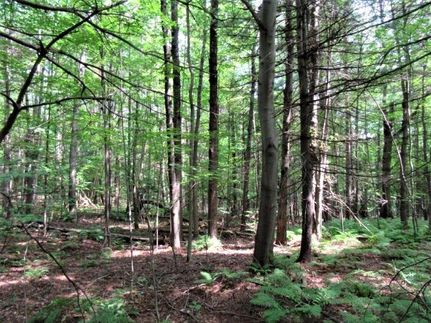 Commercial Property in Saratoga County, New York