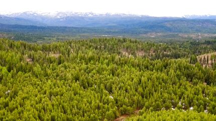 Farm and Ranch in Valley County, Idaho