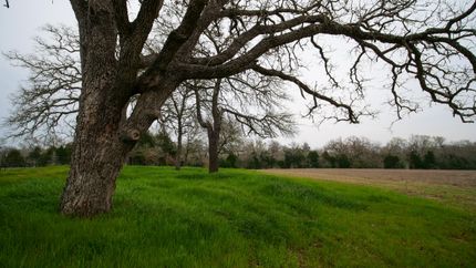 Recreational Property in Milam County, Texas