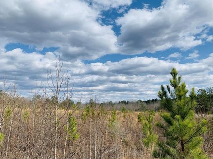 Farm and Ranch in Chester County, South Carolina