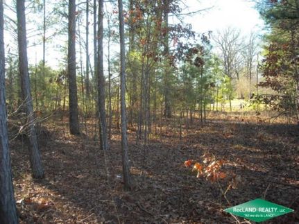 Undeveloped Land in Bossier Parish, Louisiana