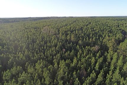 Recreational Property in Wayne County, Mississippi
