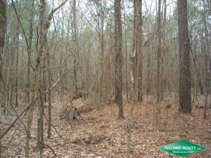 Land in Natchitoches Parish, Louisiana