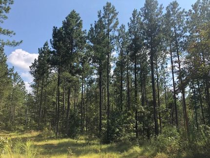 Farm and Ranch in McNairy County, Tennessee