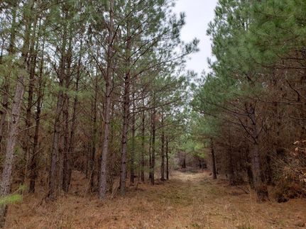 Recreational Property in Nevada County, Arkansas