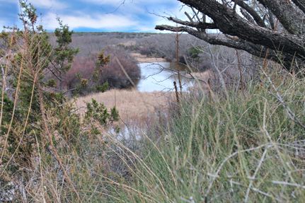 Timberland Property in Coke County, Texas