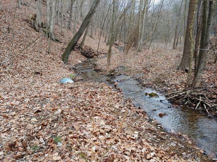Recreational Property in Montgomery County, Virginia