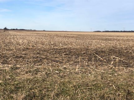 Farm and Ranch in Richland County, Illinois