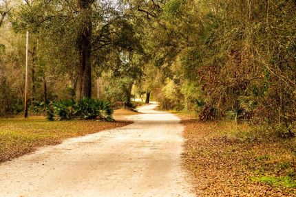 Undeveloped Land in Lafayette County, Florida