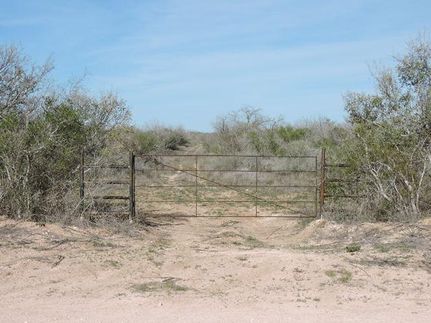 Undeveloped Land in Duval County, Texas