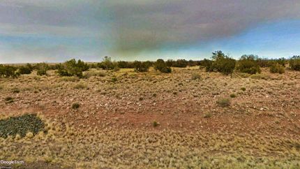 Undeveloped Land in Navajo County, Arizona