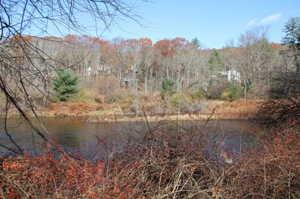 Undeveloped Land in Wayne County, Pennsylvania