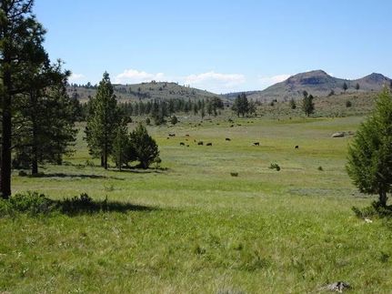 Undeveloped Land in Plumas County, California