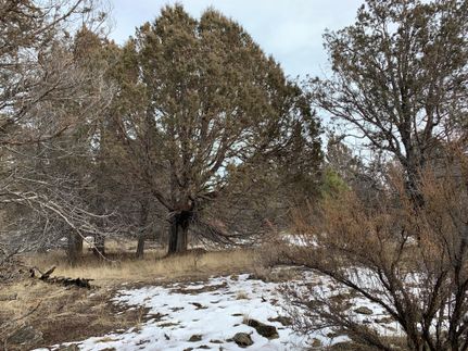 Land in Klamath County, Oregon