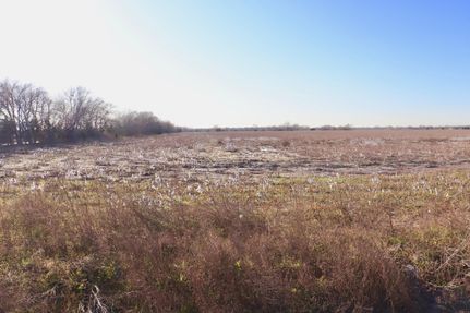 Undeveloped Land in Hunt County, Texas