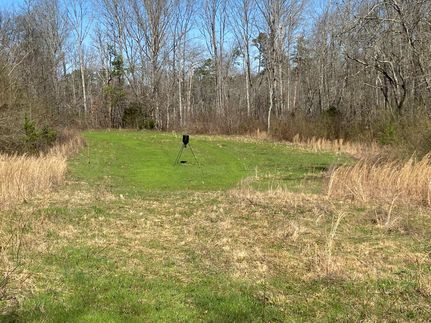 Timberland Property in Etowah County, Alabama