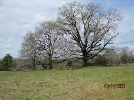 Farm and Ranch in Shelby County, Alabama
