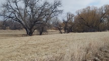 Farm and Ranch in Yellowstone County, Montana