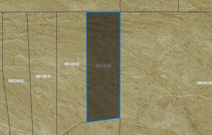 Timberland Property in Pershing County, Nevada