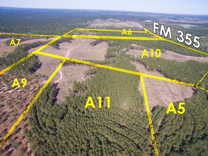 Undeveloped Land in Trinity County, Texas