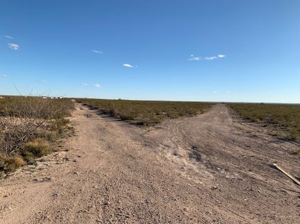 Undeveloped Land in Loving County, Texas