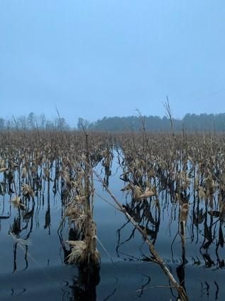 Recreational Property in Florence County, South Carolina