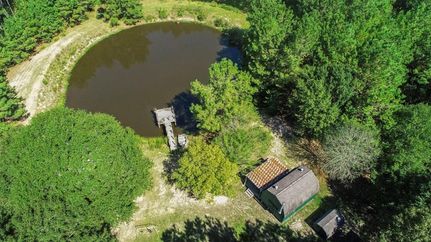 Farm and Ranch in Montgomery County, Texas