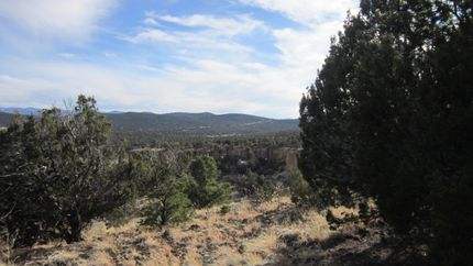 Farm and Ranch in Apache County, Arizona