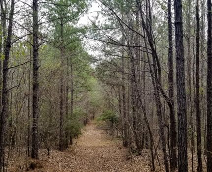 Recreational Property in Perry County, Alabama