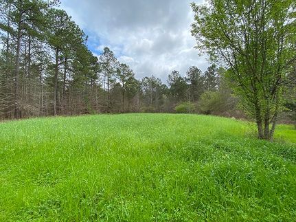 Farm and Ranch in Upson County, Georgia