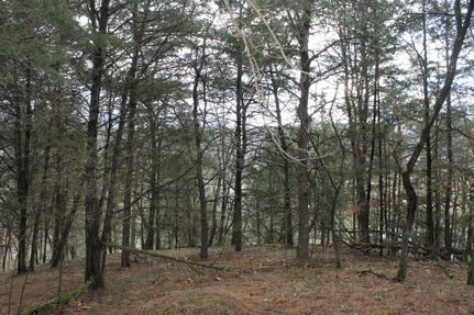 Farm and Ranch in Hampshire County, West Virginia